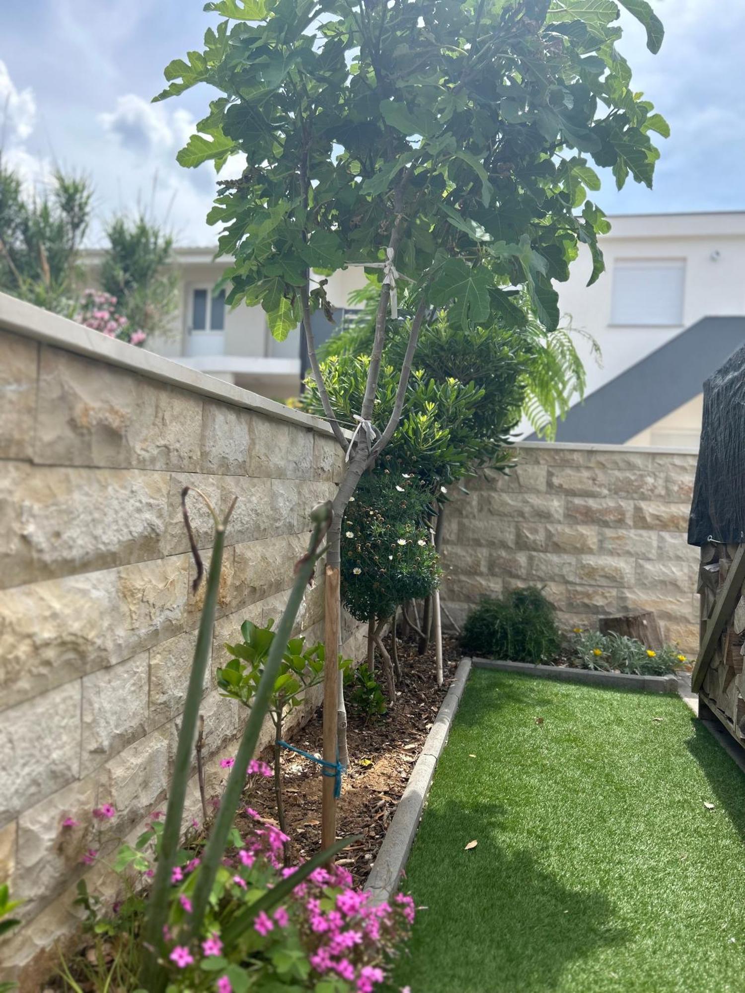 Velebit View Apartment Vir Ngoại thất bức ảnh