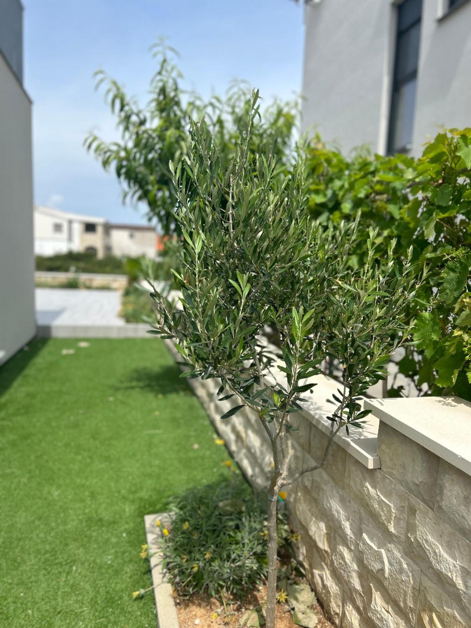 Velebit View Apartment Vir Ngoại thất bức ảnh